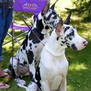 Meet your Posher, Brinda